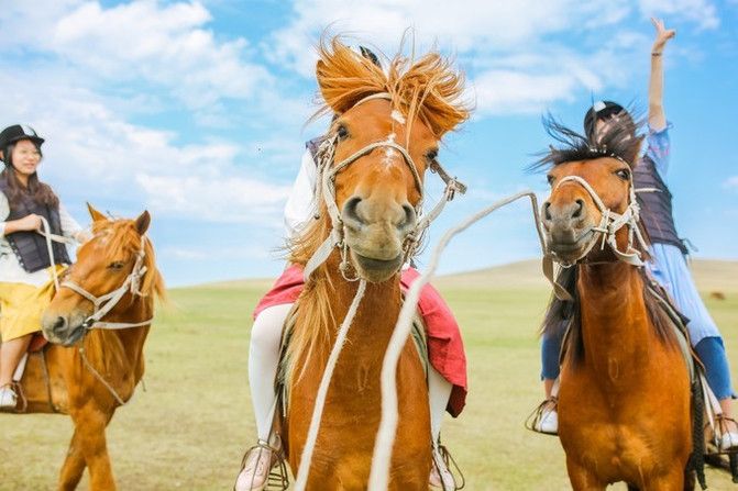 🐎 深度骑行